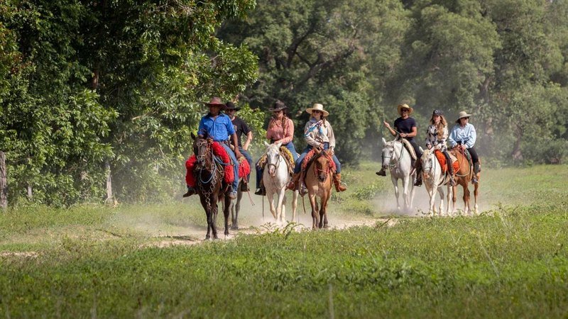 A group riding horses along a trail through green countryside