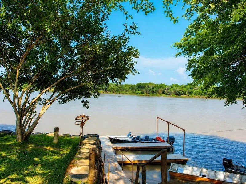 A wooden deck and pier on the river, with boats and trees