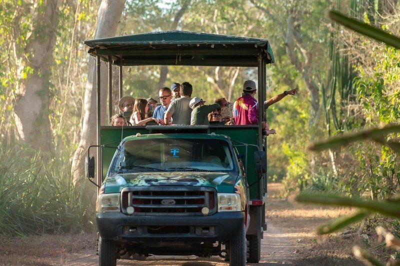 Guests on an open-air safari truck on a dirt road through the forest