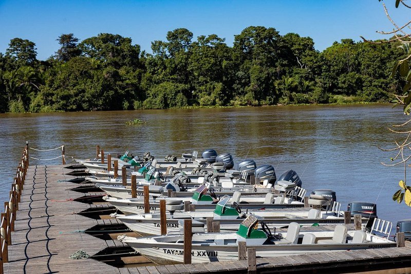Row of motorboats moored along a wooden pier on the river, with forest on the far bank