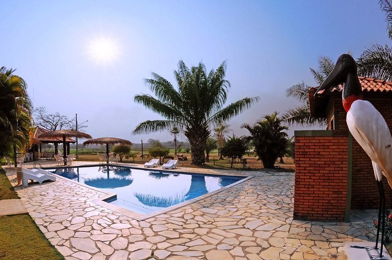 Swimming pool with stone paving, loungers and thatched umbrellas, with a jabiru stork sculpture in the foreground